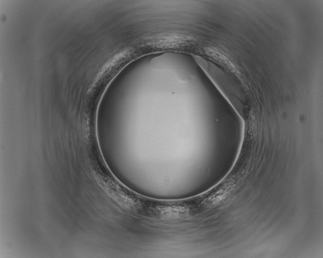 X0000069380400200605150923