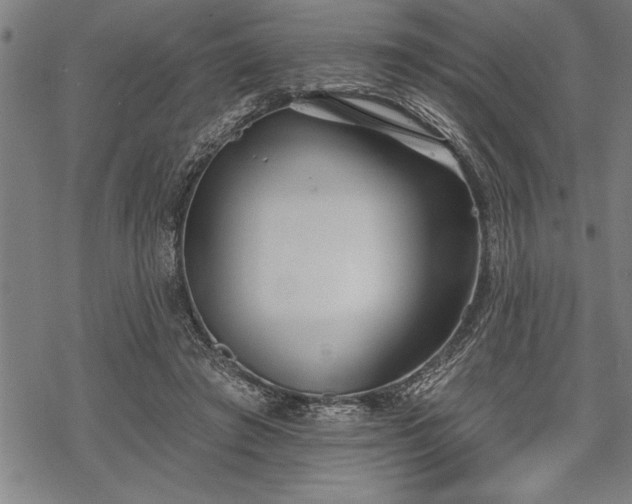 X0000069380401200605150923