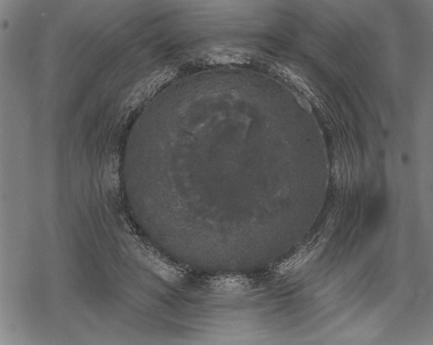 X0000069380402200605150923