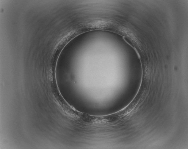 X0000069380403200605150923