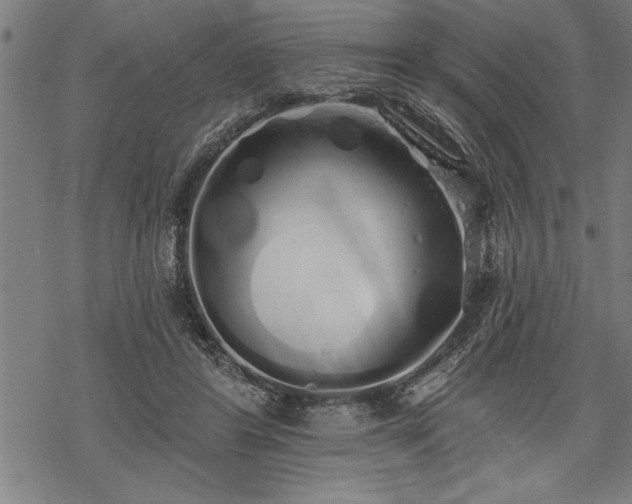 X0000069380404200605150923