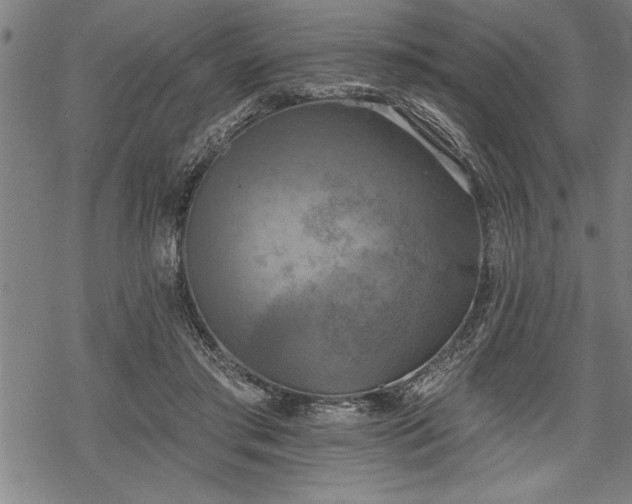 X0000069380405200605150922