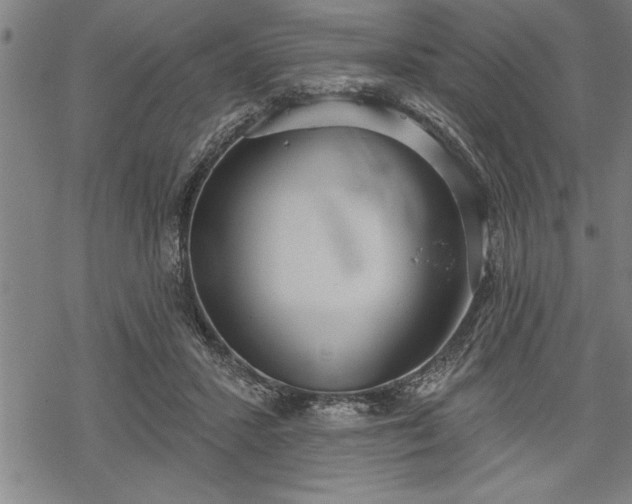 X0000069380407200605150922