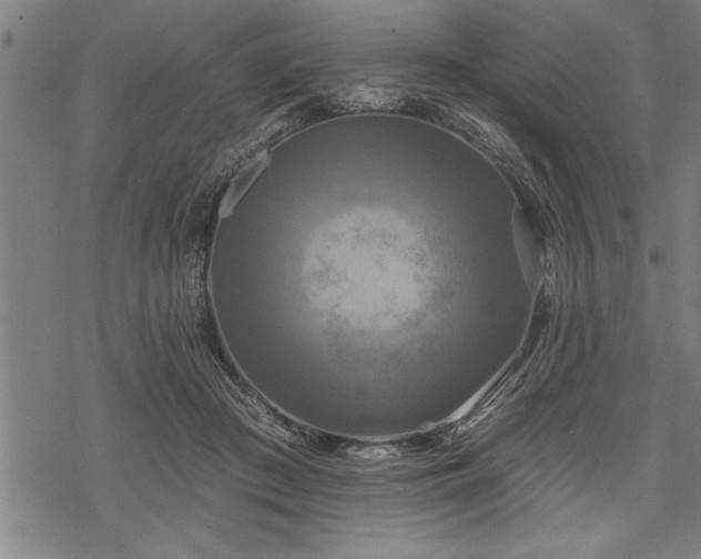 X0000069380409200605150922