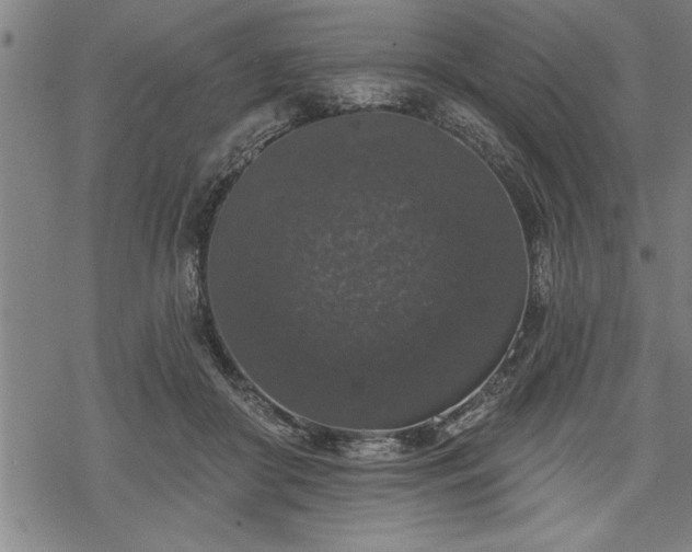 X0000069380410200605150922