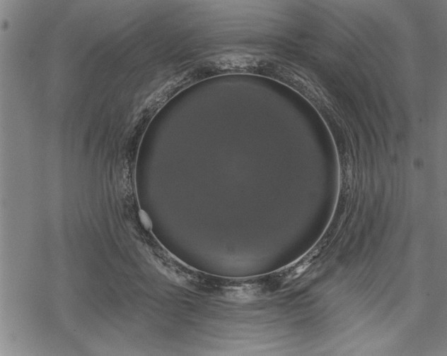 X0000069380411200605150922