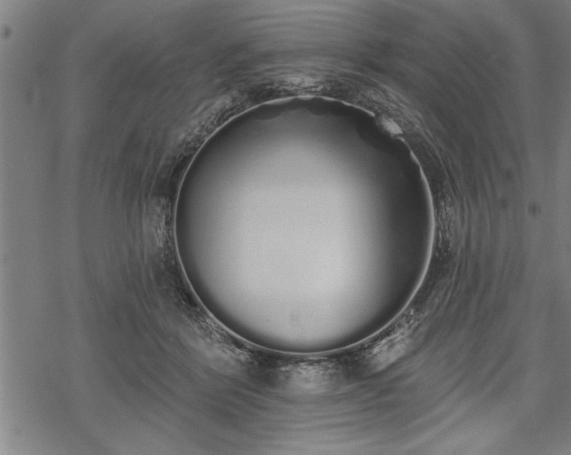 X0000069380412200605150922