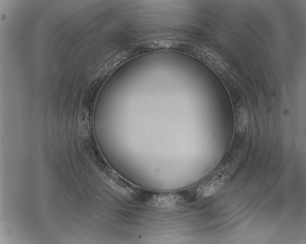 X0000069380414200605150922