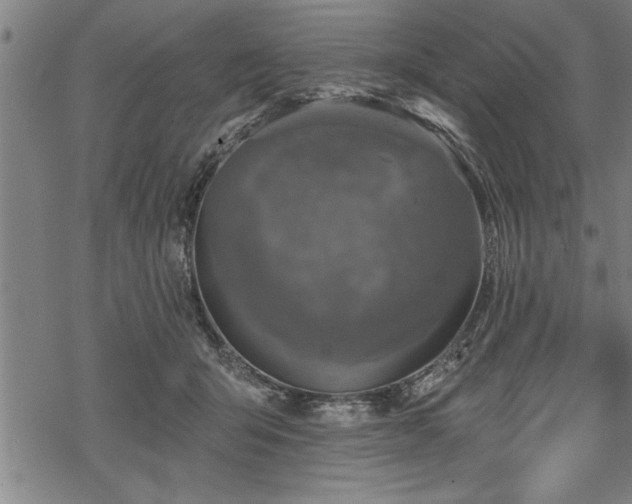 X0000069380415200605150922