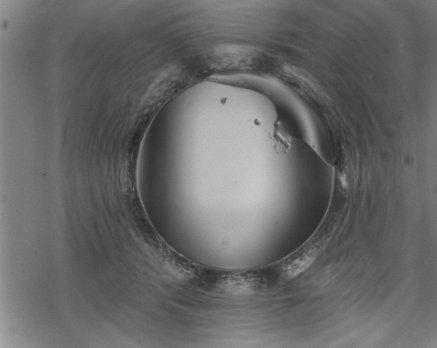 X0000069380416200605150922