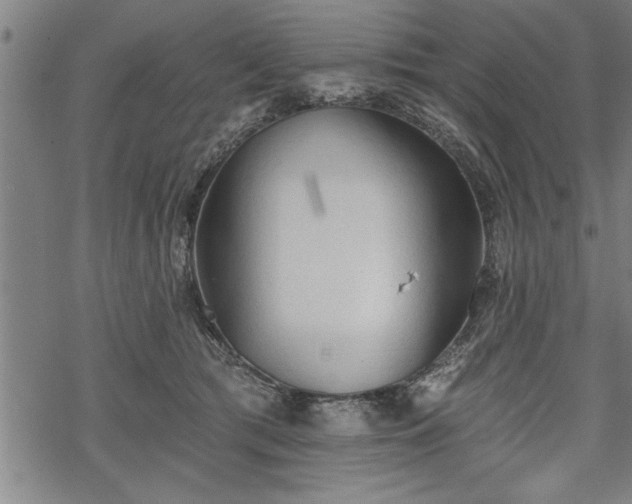 X0000069380417200605150922