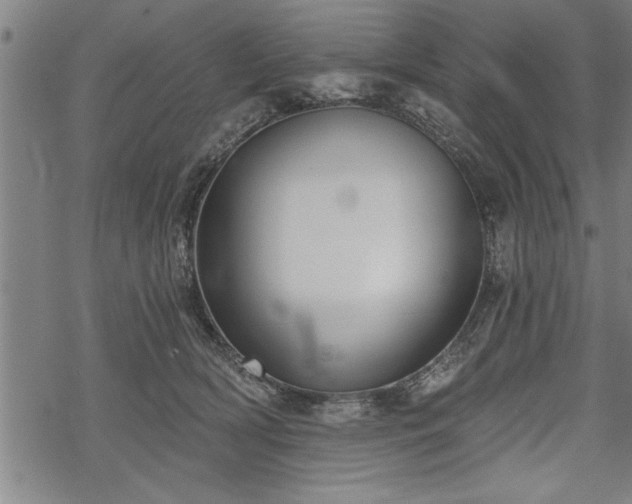 X0000069380418200605150922