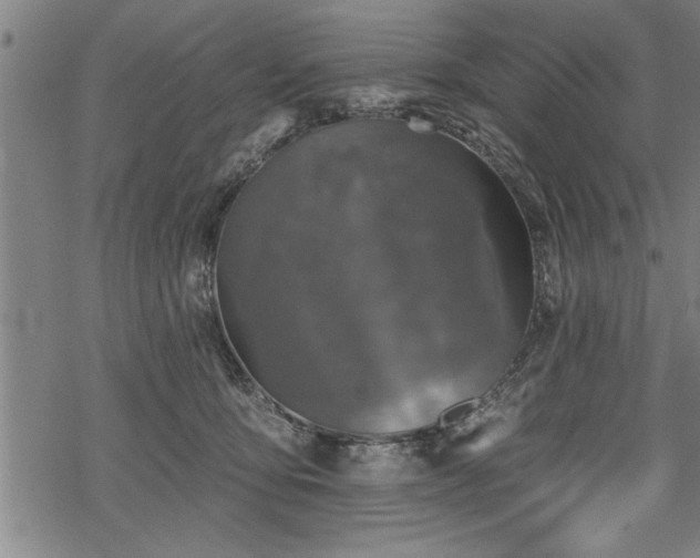 X0000069380419200605150922