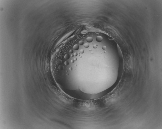 X0000069380420200605150922