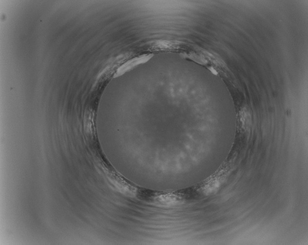 X0000069380423200605150922