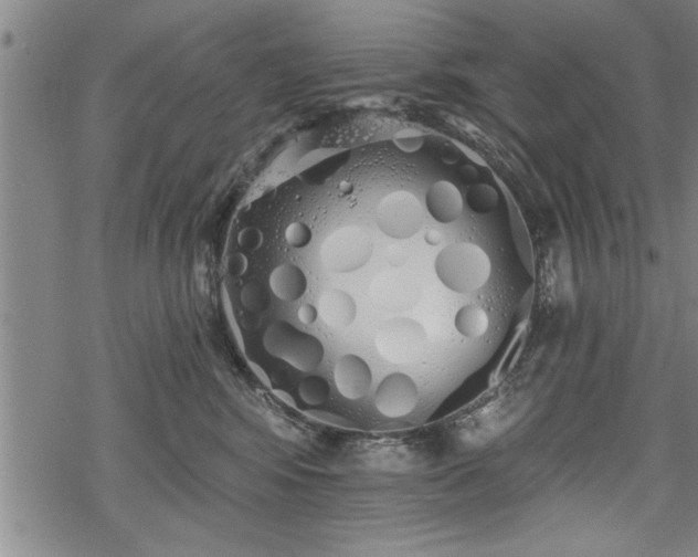 X0000069380424200605150922