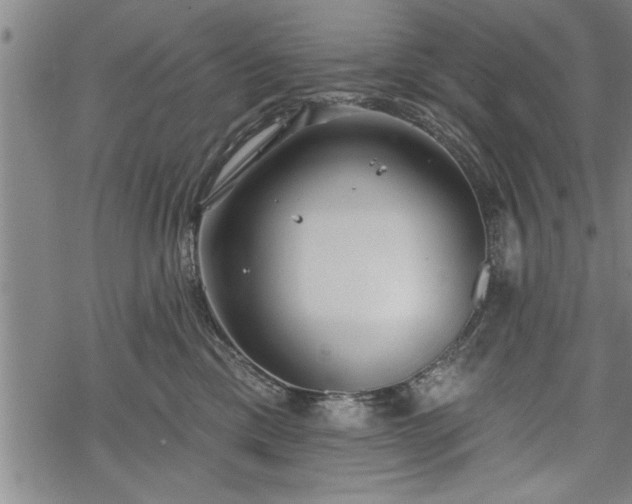 X0000069380425200605150922