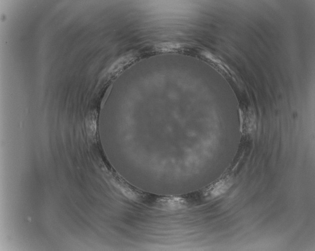 X0000069380427200605150922