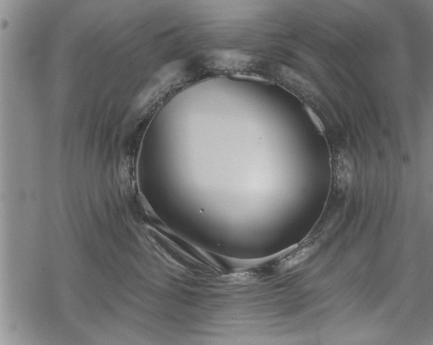 X0000069380428200605150922