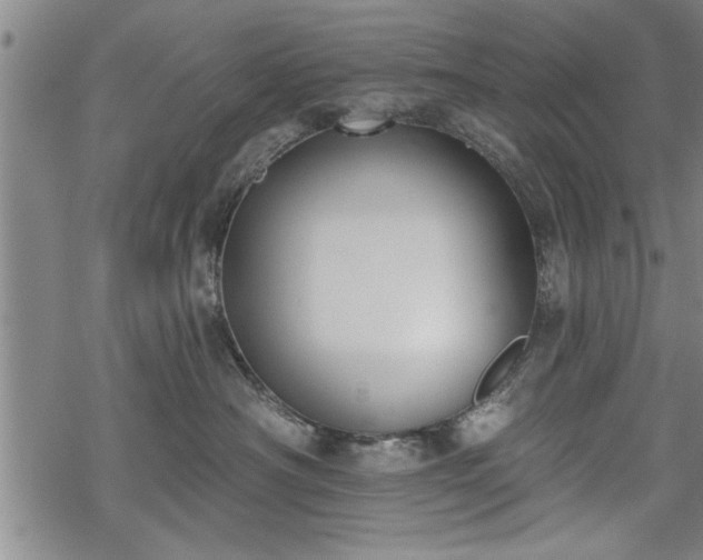 X0000069380430200605150922