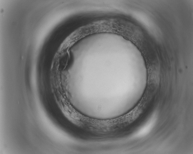 X0000069380431200605150922