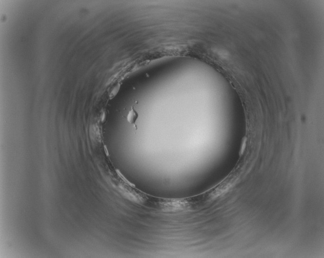 X0000069380432200605150922