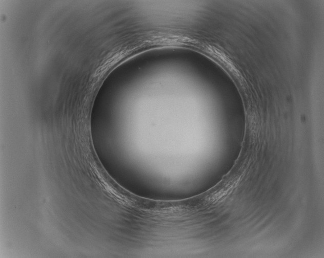 X0000069380433200605150921