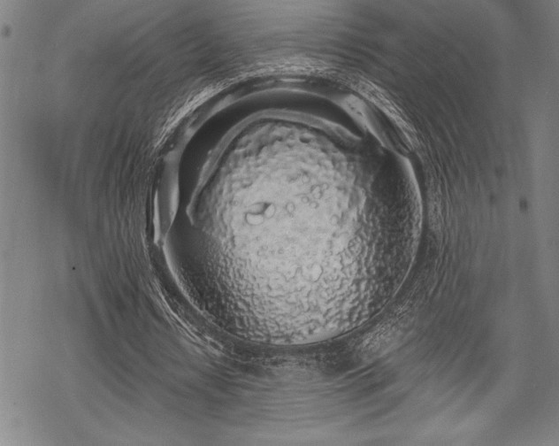 X0000069380434200605150921