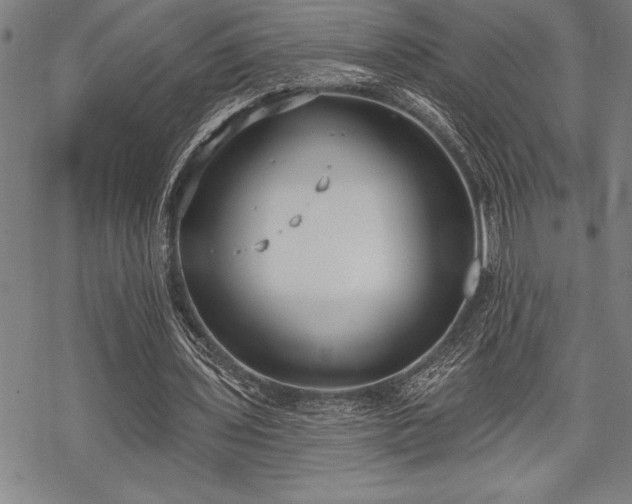 X0000069380435200605150921