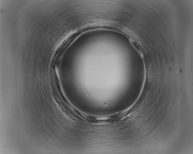 X0000069380436200605150921