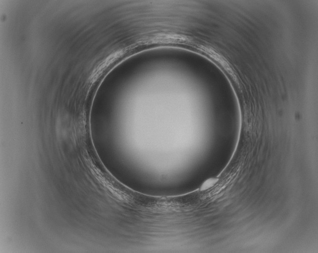 X0000069380437200605150921