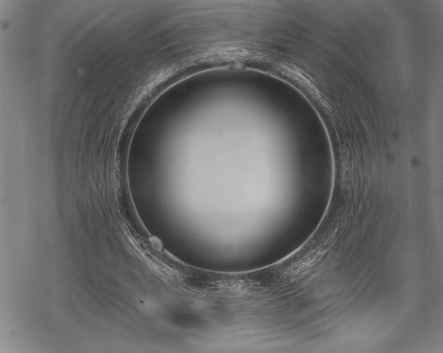 X0000069380439200605150921