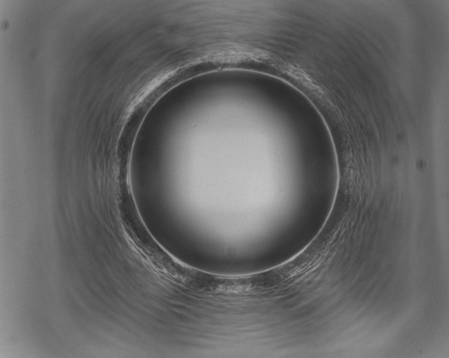 X0000069380440200605150921