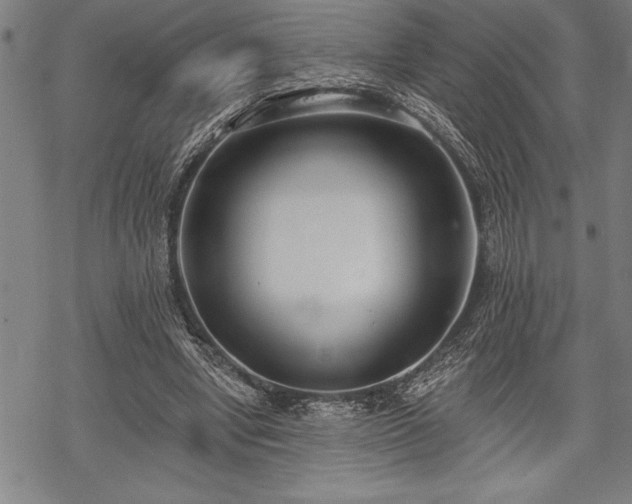 X0000069380442200605150921