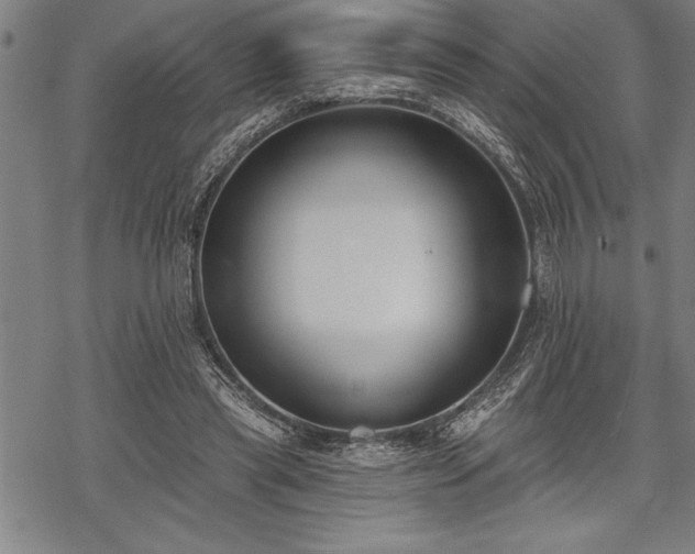 X0000069380445200605150921