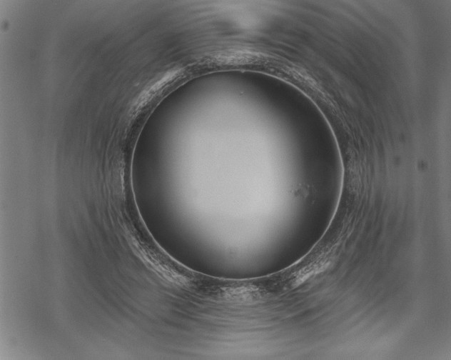 X0000069380446200605150921