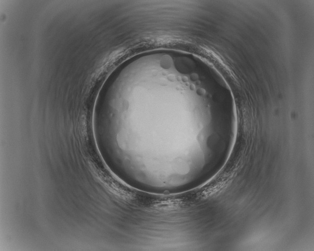 X0000069380447200605150921