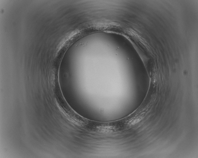 X0000069380448200605150922