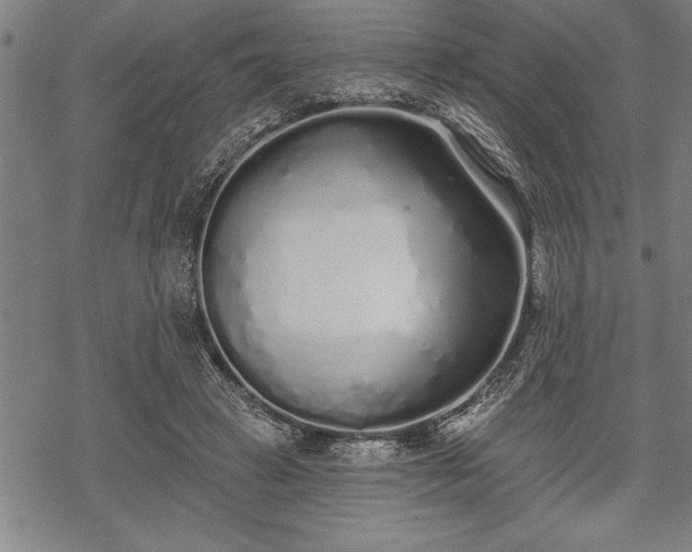 X0000069380449200605150922