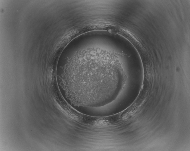 X0000069380451200605150922