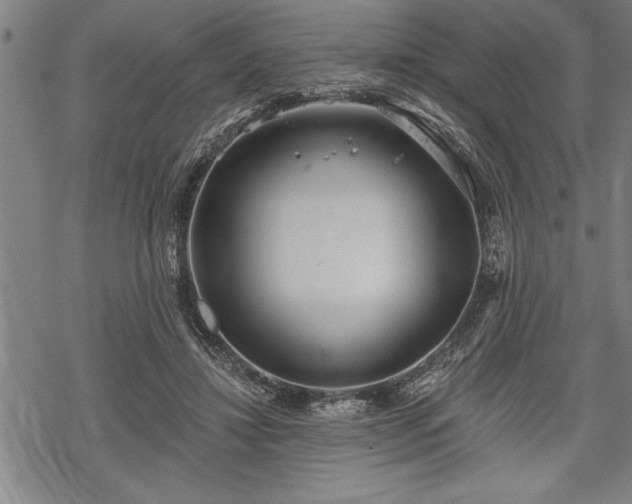 X0000069380452200605150922