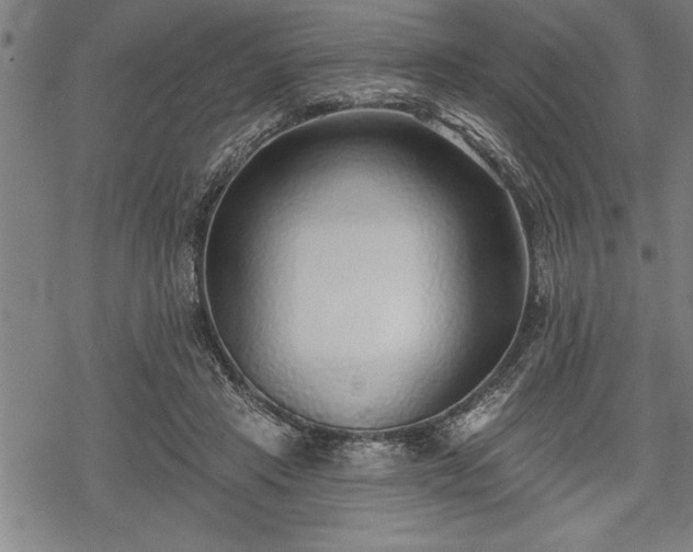 X0000069380453200605150922