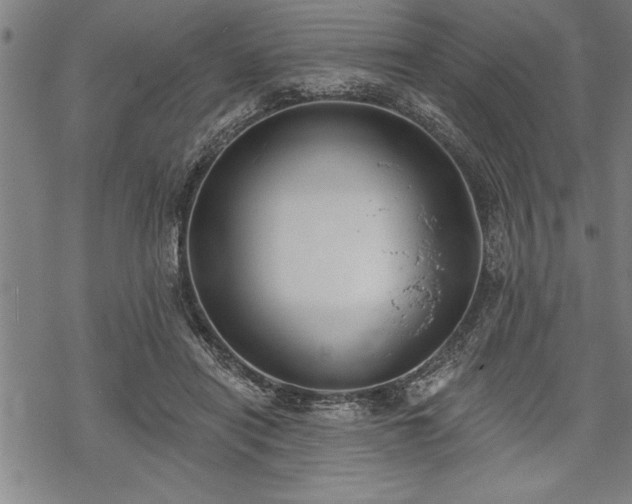 X0000069380454200605150922