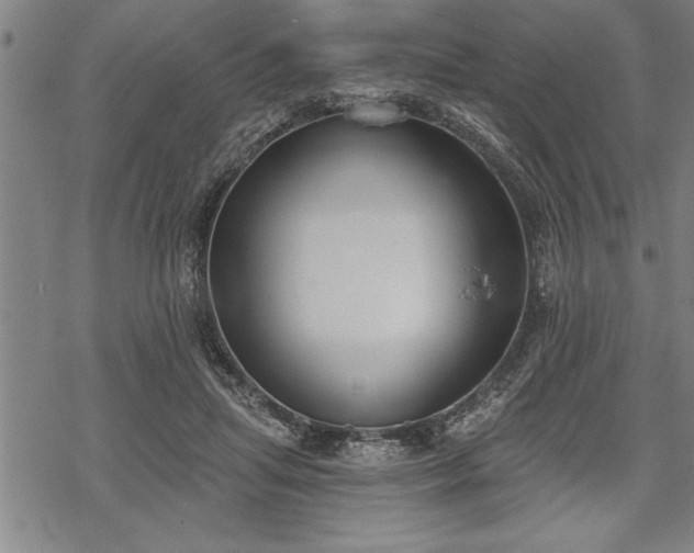 X0000069380455200605150922