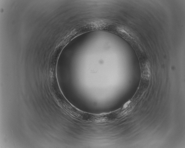 X0000069380456200605150922