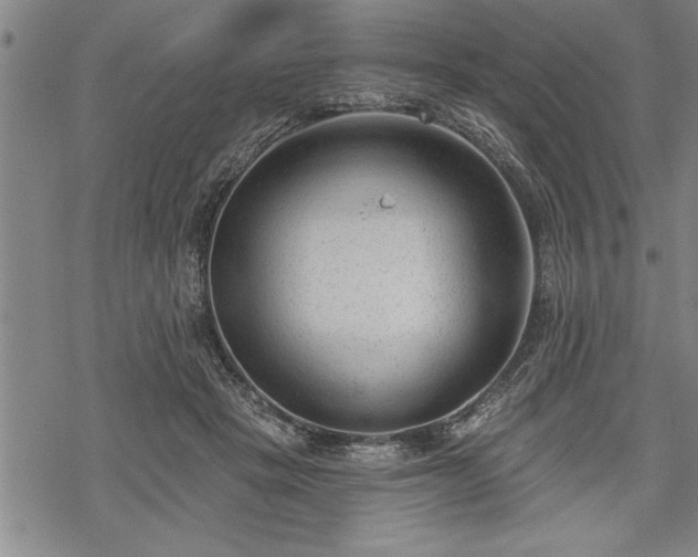 X0000069380457200605150922