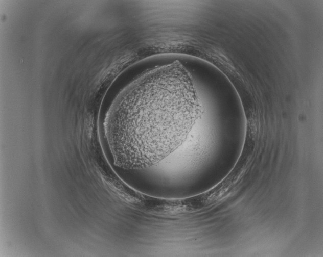 X0000069380458200605150922