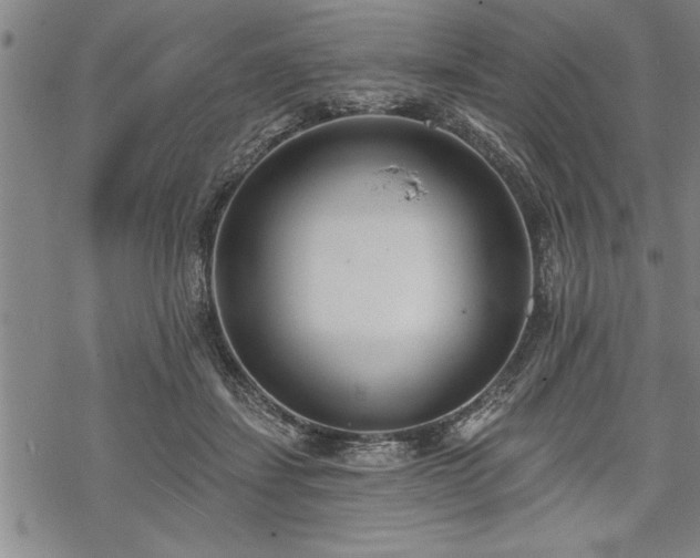 X0000069380459200605150922