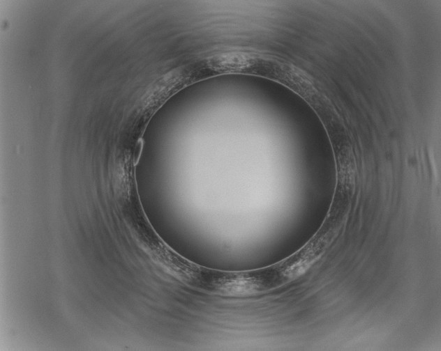 X0000069380460200605150922