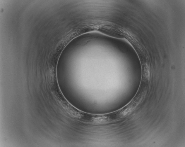 X0000069380461200605150922